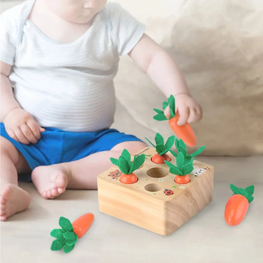 Montessori Wooden Shape Assortment Carrots Matching Toys Baby Early Education Stage Puzzle Game Fine Motor Sensory Activity Toys